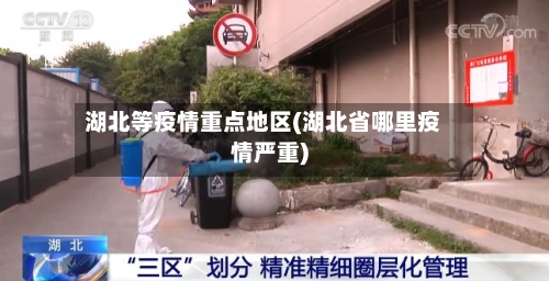 湖北等疫情重点地区(湖北省哪里疫情严重)-第1张图片