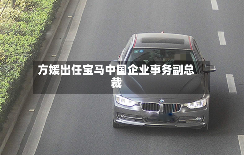 方媛出任宝马中国企业事务副总裁-第1张图片