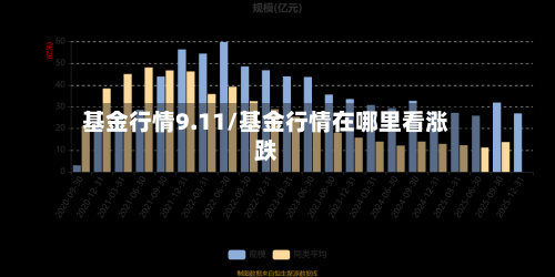 基金行情9.11/基金行情在哪里看涨跌-第1张图片