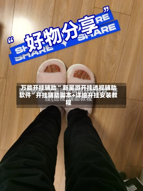 万能开挂辅助“ 新星游开挂透视辅助软件”开挂辅助脚本+详细开挂安装教程-第1张图片