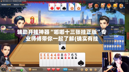 辅助开挂神器“嘟嘟十三张挂正版”专业师傅带你一起了解(确实有挂-第1张图片