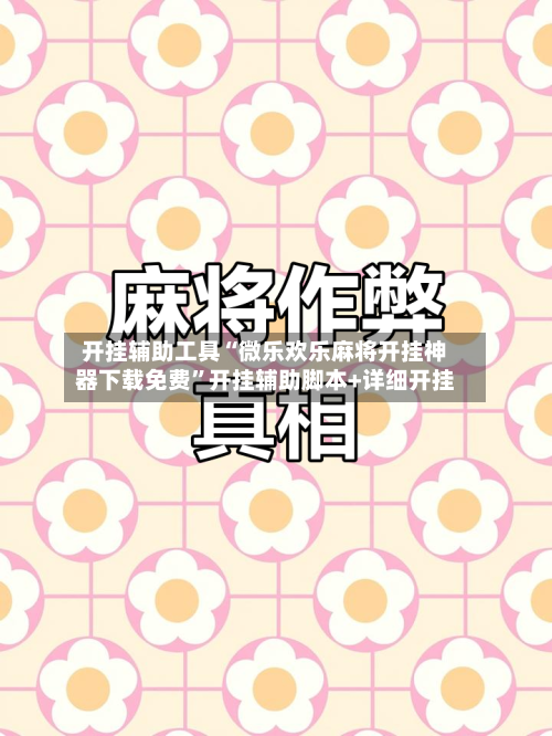 开挂辅助工具“微乐欢乐麻将开挂神器下载免费”开挂辅助脚本+详细开挂-第1张图片