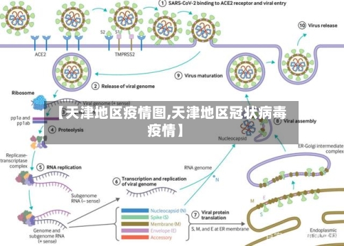 【天津地区疫情图,天津地区冠状病毒疫情】-第1张图片