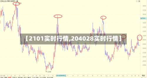 【2101实时行情,204028实时行情】-第1张图片
