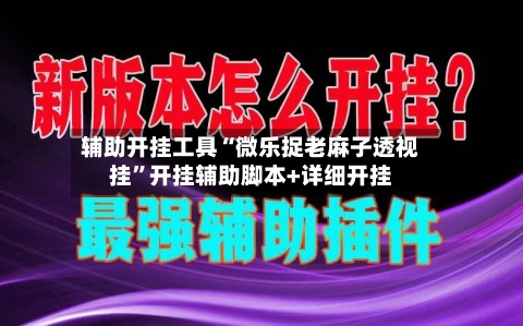 辅助开挂工具“微乐捉老麻子透视挂	”开挂辅助脚本+详细开挂-第1张图片
