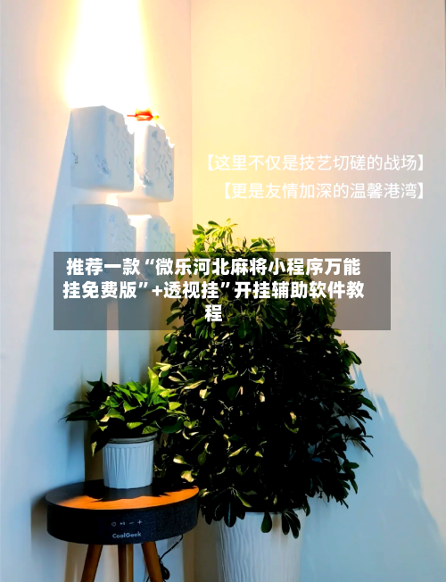 推荐一款“微乐河北麻将小程序万能挂免费版”+透视挂”开挂辅助软件教程-第1张图片