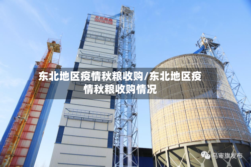 东北地区疫情秋粮收购/东北地区疫情秋粮收购情况-第1张图片