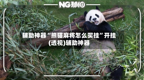 辅助神器“熊猫麻将怎么买挂	”开挂(透视)辅助神器-第1张图片