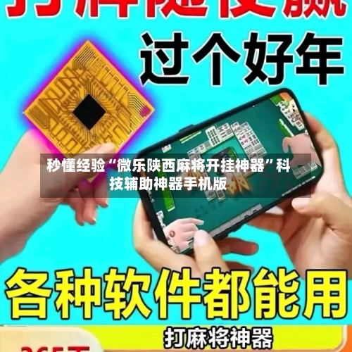 秒懂经验“微乐陕西麻将开挂神器”科技辅助神器手机版-第1张图片