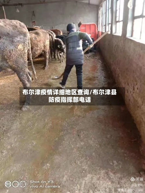布尔津疫情详细地区查询/布尔津县防疫指挥部电话-第1张图片