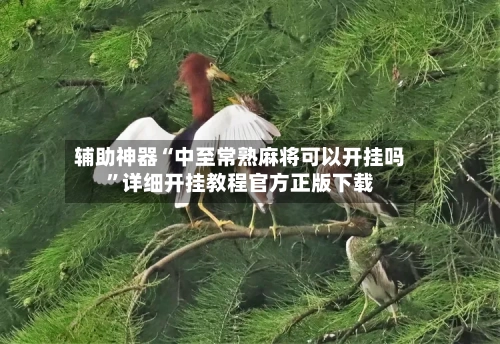 辅助神器“中至常熟麻将可以开挂吗”详细开挂教程官方正版下载-第1张图片