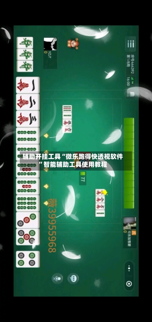 辅助开挂工具“微乐跑得快透视软件	”智能辅助工具使用教程-第1张图片