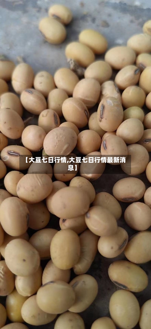 【大豆七日行情,大豆七日行情最新消息】-第1张图片
