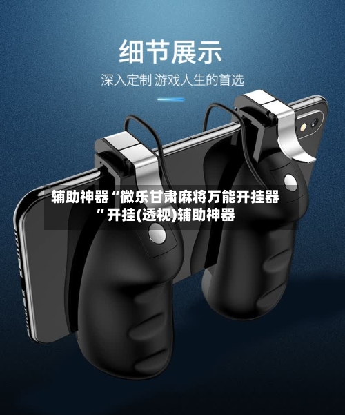 辅助神器“微乐甘肃麻将万能开挂器”开挂(透视)辅助神器-第1张图片