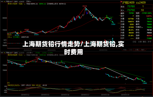 上海期货铅行情走势/上海期货铅,实时费用-第1张图片