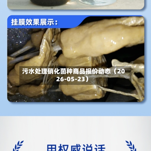 污水处理硝化菌种商品报价动态(2026-05-23)-第1张图片
