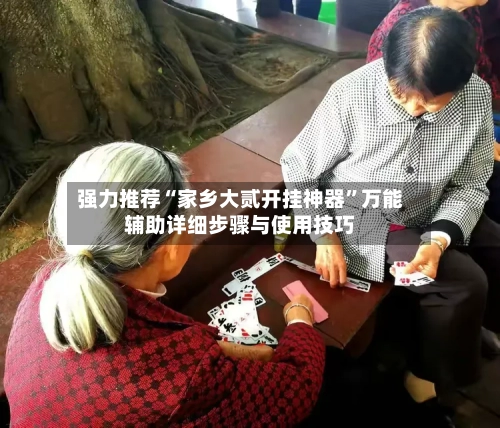 强力推荐“家乡大贰开挂神器”万能辅助详细步骤与使用技巧-第1张图片