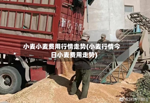 小麦小麦费用行情走势(小麦行情今日小麦费用走势)-第1张图片