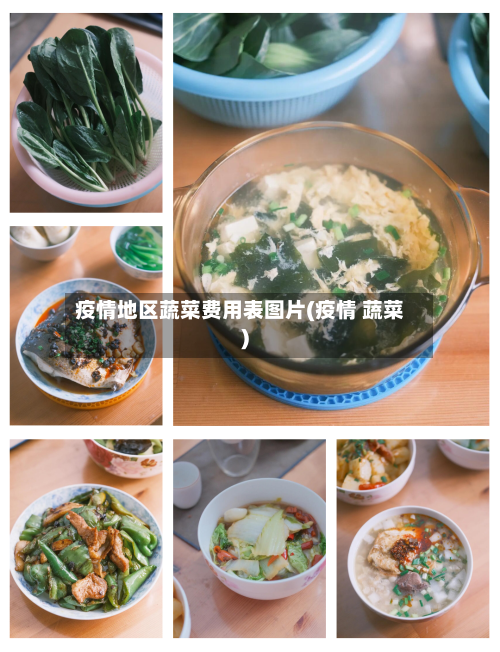 疫情地区蔬菜费用表图片(疫情 蔬菜)-第1张图片
