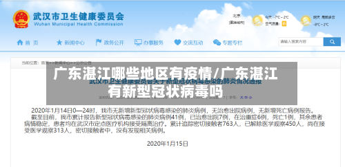 广东湛江哪些地区有疫情/广东湛江有新型冠状病毒吗-第1张图片