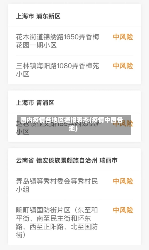 国内疫情各地区通报表态(疫情中国各地)-第1张图片