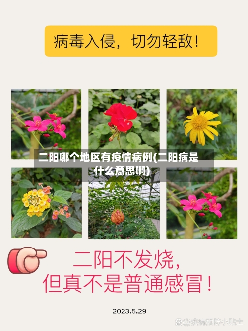 二阳哪个地区有疫情病例(二阳病是什么意思啊)-第1张图片