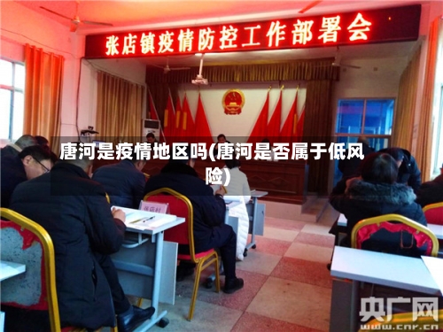 唐河是疫情地区吗(唐河是否属于低风险)-第1张图片