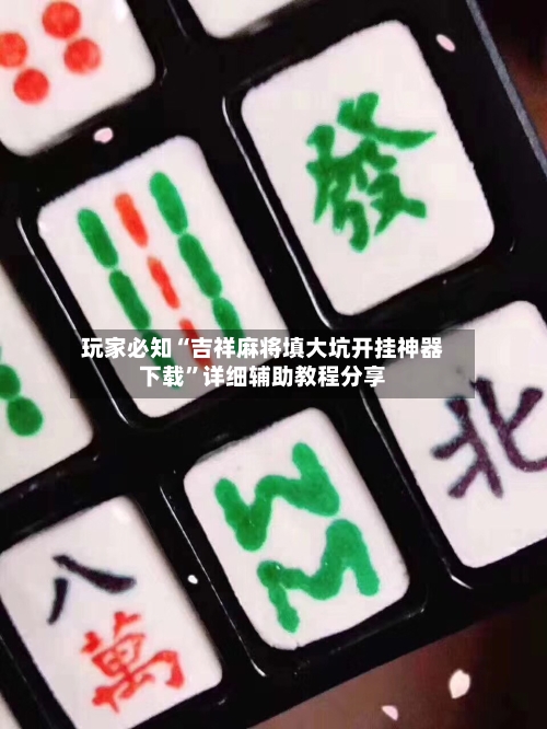 玩家必知“吉祥麻将填大坑开挂神器下载”详细辅助教程分享-第1张图片