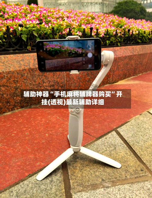 辅助神器“手机麻将辅牌器购买”开挂(透视)最新辅助详细-第1张图片