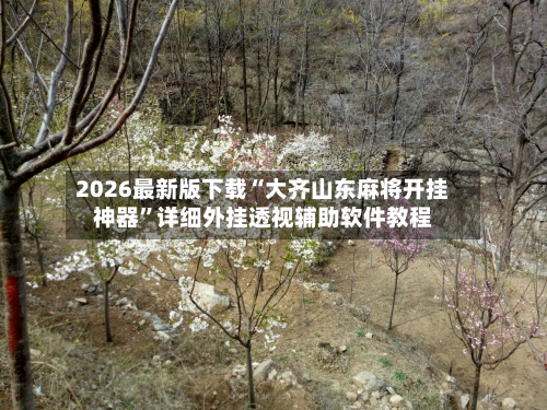 2026最新版下载“大齐山东麻将开挂神器”详细外挂透视辅助软件教程-第1张图片