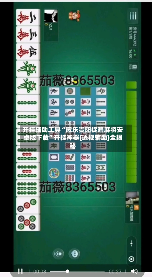 开挂辅助工具“微乐贵阳捉鸡麻将安卓版下载	”开挂神器{透视辅助}全揭秘-第1张图片