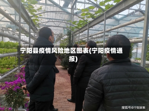 宁阳县疫情风险地区图表(宁阳疫情通报)-第1张图片