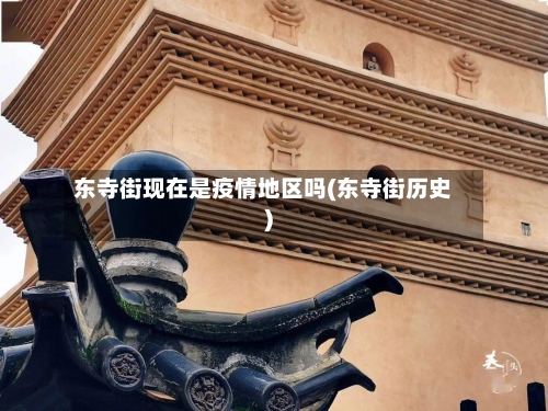 东寺街现在是疫情地区吗(东寺街历史)-第1张图片