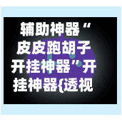 辅助神器“皮皮跑胡子开挂神器”开挂神器{透视辅助}全揭秘-第1张图片