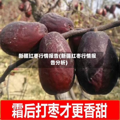 新疆红枣行情报告(新疆红枣行情报告分析)-第1张图片