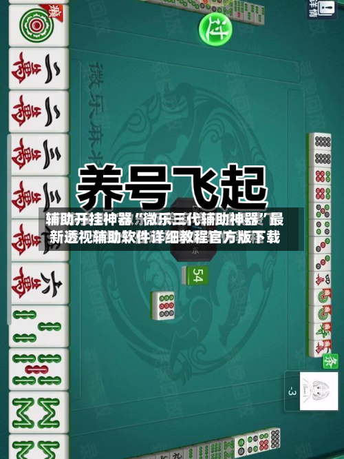 辅助开挂神器“微乐三代辅助神器	”最新透视辅助软件详细教程官方版下载-第1张图片