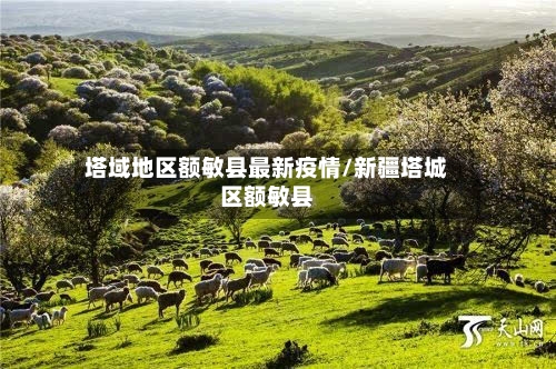 塔域地区额敏县最新疫情/新疆塔城区额敏县-第1张图片