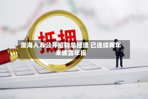 渤海人寿公开招聘总经理 已连续两年未披露年报-第1张图片