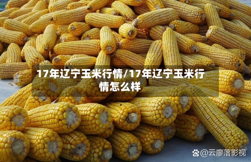 17年辽宁玉米行情/17年辽宁玉米行情怎么样-第1张图片