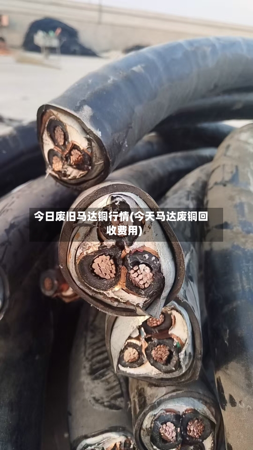 今日废旧马达铜行情(今天马达废铜回收费用)-第1张图片