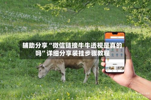 辅助分享“微信链接牛牛透视是真的吗	”详细分享装挂步骤教程-第1张图片
