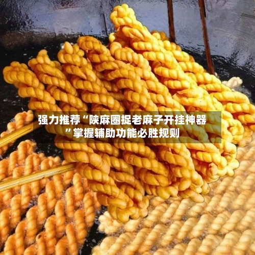 强力推荐“陕麻圈捉老麻子开挂神器	”掌握辅助功能必胜规则-第1张图片