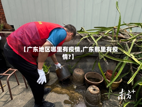 【广东地区哪里有疫情,广东那里有疫情?】-第1张图片