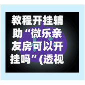 教程开挂辅助“微乐亲友房可以开挂吗”(透视挂)详细用法教程-第1张图片