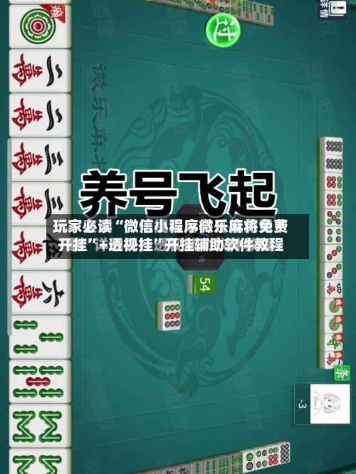 玩家必读“微信小程序微乐麻将免费开挂	”+透视挂”开挂辅助软件教程-第1张图片