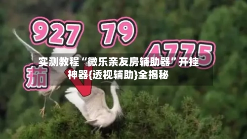 实测教程“微乐亲友房辅助器”开挂神器{透视辅助}全揭秘-第1张图片