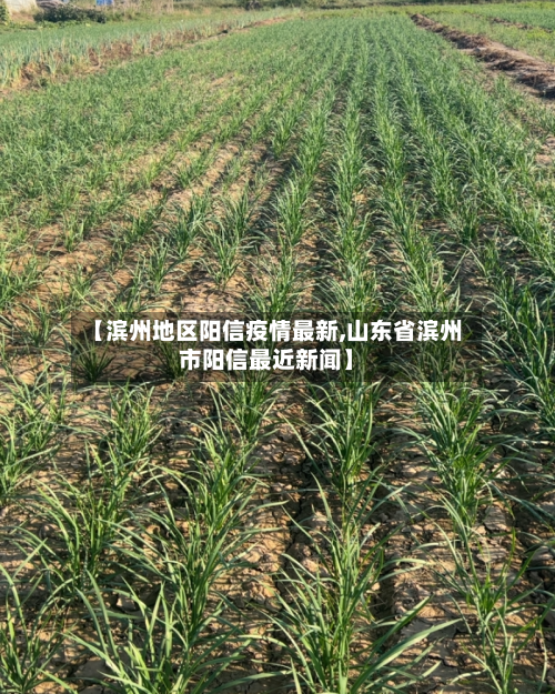 【滨州地区阳信疫情最新,山东省滨州市阳信最近新闻】-第1张图片