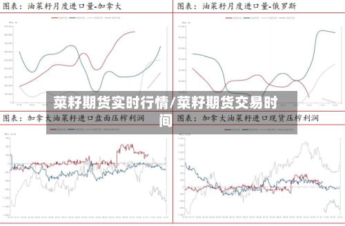菜籽期货实时行情/菜籽期货交易时间-第1张图片