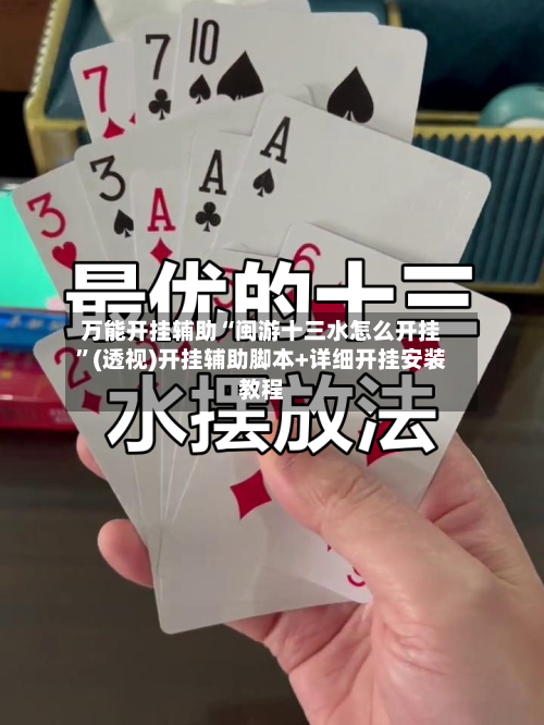 万能开挂辅助“闽游十三水怎么开挂”(透视)开挂辅助脚本+详细开挂安装教程-第1张图片