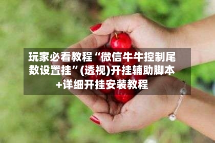 玩家必看教程“微信牛牛控制尾数设置挂”(透视)开挂辅助脚本+详细开挂安装教程-第1张图片